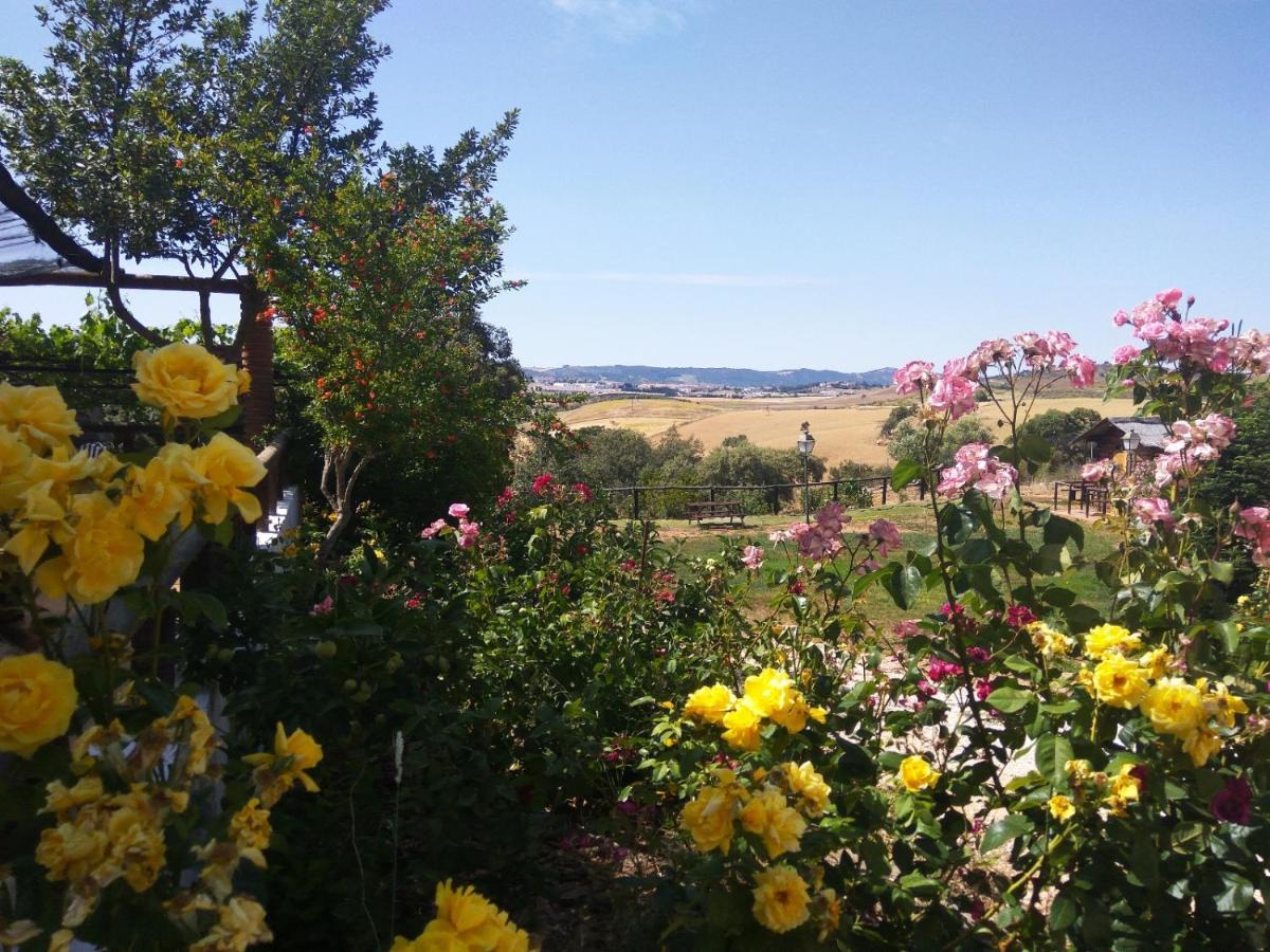 Casa Rural Bellavista Ρόντα Εξωτερικό φωτογραφία