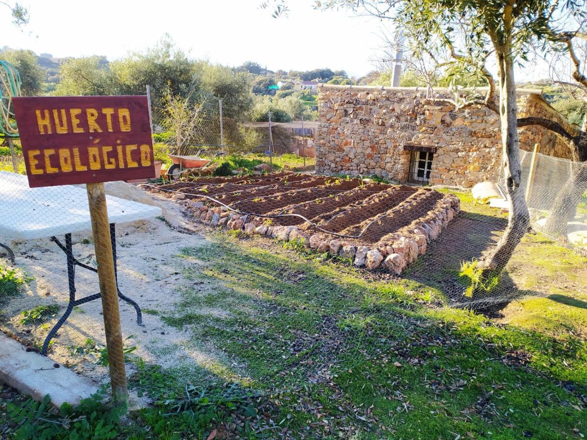 Casa Rural Bellavista Ρόντα Εξωτερικό φωτογραφία