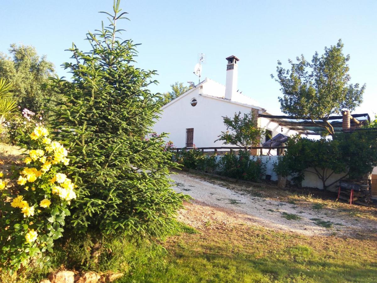 Casa Rural Bellavista Ρόντα Εξωτερικό φωτογραφία